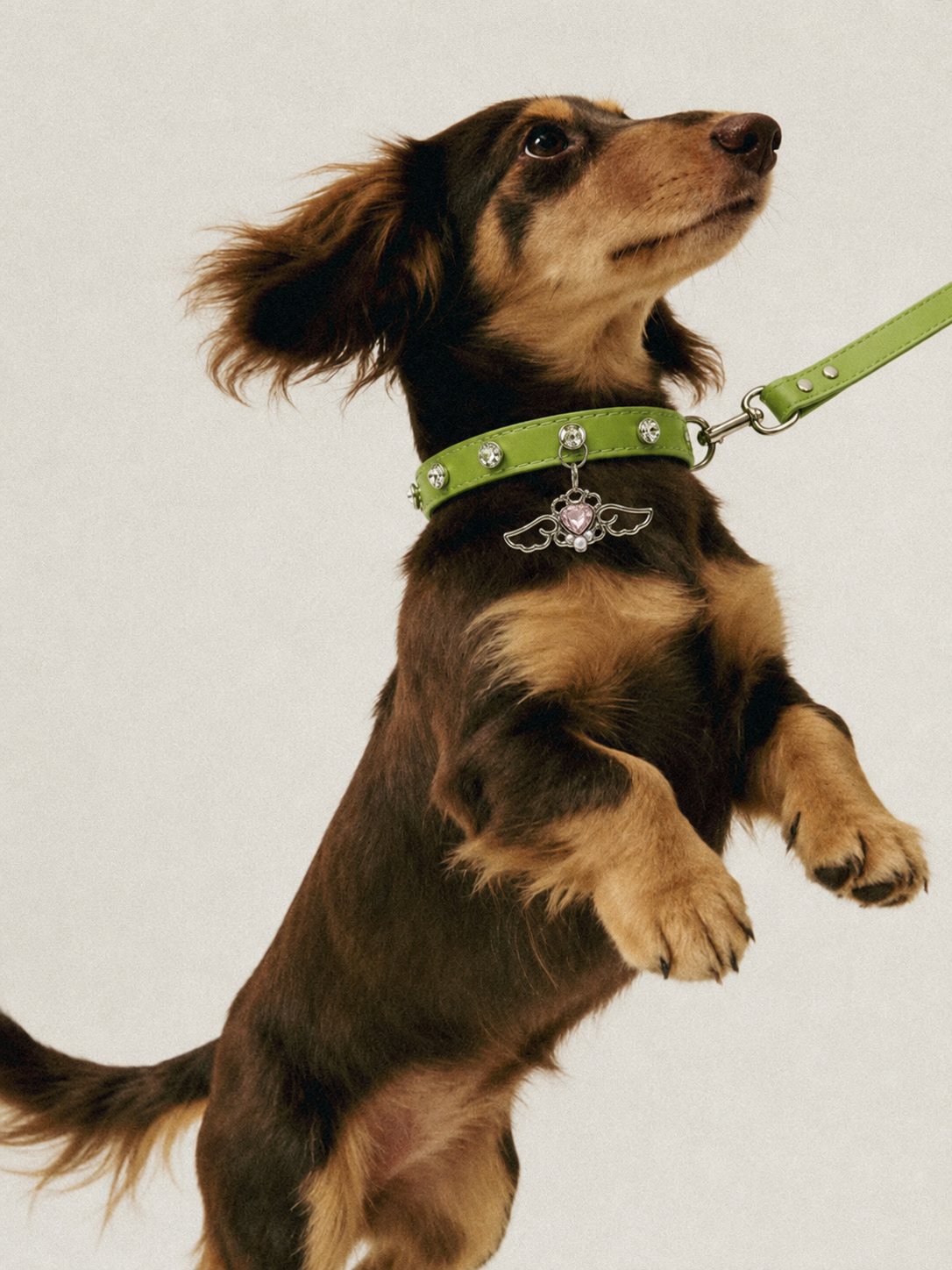 Angel Heart Rhinestone Dog Collar with Wing Charm