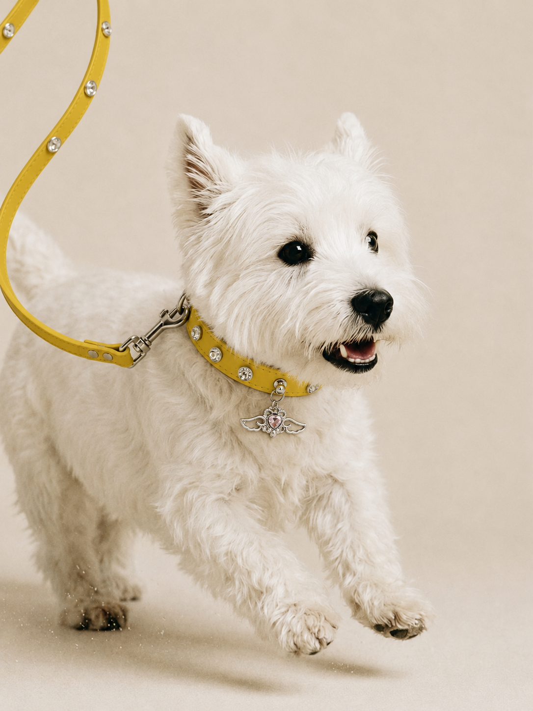 Angel Heart Rhinestone Dog Collar with Wing Charm