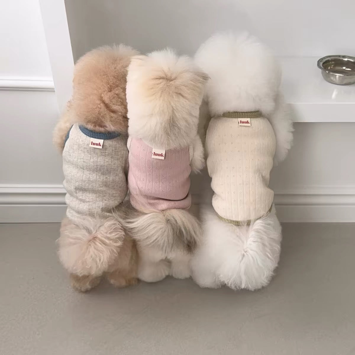 Soft Daisy Pet Shirts