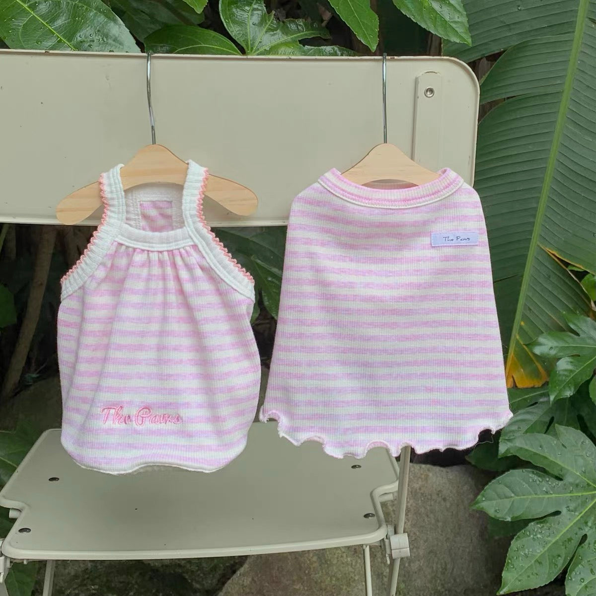 Berry Latte Stripe Pet Top