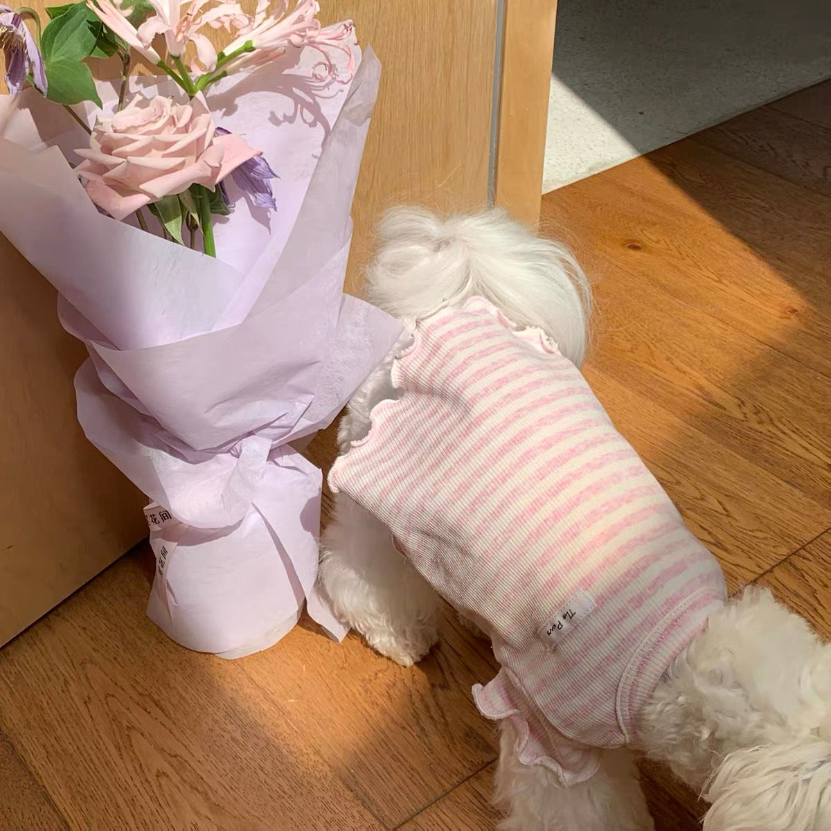 Berry Latte Stripe Pet Top