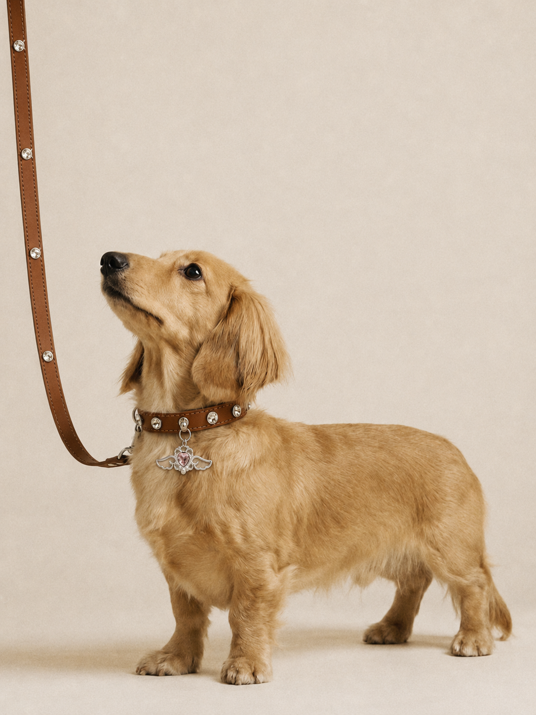 Angel Heart Rhinestone Dog Collar with Wing Charm